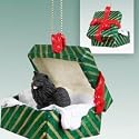 Black Pomeranian Christmas Ornament Hanging Gift Box