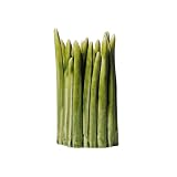 Produkt-Bild: Normann Vase Grass - medium