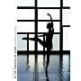 In the Company of Stars: The Paris Opera Ballet