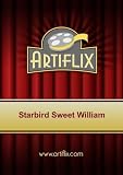 Starbird Sweet William