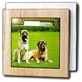 Dogs Mustiff - Mastiff - Tile Napkin Holders