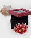 Grehom Scented Candle - Red Lotus; Beautiful Gift; Handmade Floating Candles; Exclusive Wedding Gift; Delivered in an elegant Gift Box