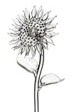 Waterford Fleurology Glass Flower, Sunflower