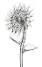 Waterford Fleurology Glass Flower, Sunflower