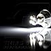 TGP T10 White 4 LED SMD License Plate Wedge Light Bulbs Pair 1995-2012 Acura TL
