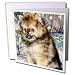   - Dogs Pomeranian - Roxy, Pomeranian Puppy - Greeting Cards-12 Greeting Cards with envelopes