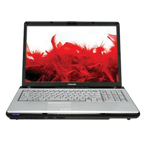 PCHardware: Toshiba Satellite P205 S6347 17
