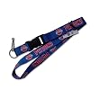 Detroit Pistons Clip Lanyard Keychain Id Holder Ticket