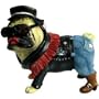 Pugnacious Biker Pug