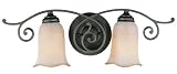 Romana Collection 21 1/2 Wide Bathroom Light Fixture