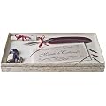 Coles - Set de calligraphie plume - �tain (Import Royaume Uni)