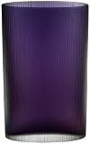 Venini 'Ellittci' 7.25-Inch Night Vase