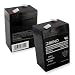 6 volt 4.5 Ah Rechargeable Battery [Electronics]