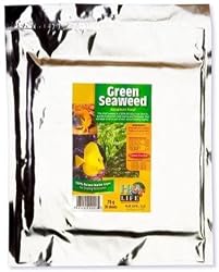 Green Seaweed 75 G