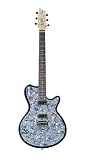 Godin Radiator Chambered Electric Guitar (Black Onyx)