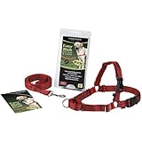 Reflective Easy Walk Dog Harness, Small, Red