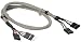 InLine 33440C 2x 4-polig Pfostenstecker auf Pfostenbuchse USB 2.0 intern Verl�ngerungskabel (0,6m)