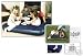 NEW FLOCKED INFLATEABLE DOUBLE AIR BED MATTRESS Image