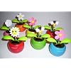 Flip Flap Solarblume Farbsortiert