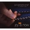 Joy Is Now (Dig)