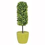 ソーラーライト 植木型 太陽光蓄電式 LEDライト付き LP-4141 〔玄関 エントランス インテリア〕