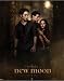 Posters: Twilight Mini Poster - Tentation, Dans les Bois (50 x 40 cm)