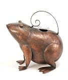 Outdoor Living : Frog Watering Can, Home Garden Decor, Accessories, 2pcs