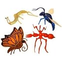 Zoomorphs Insectmorphs