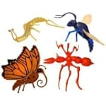 Insectmorphs 