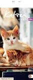 Whiskas Katzenleben 2011. Kalender: Mit Jahresübersicht 2010