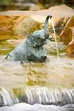 Spitters : Brass Sitting Elephant Spitter by Aquascape (LOWER PRICE for 2010!)