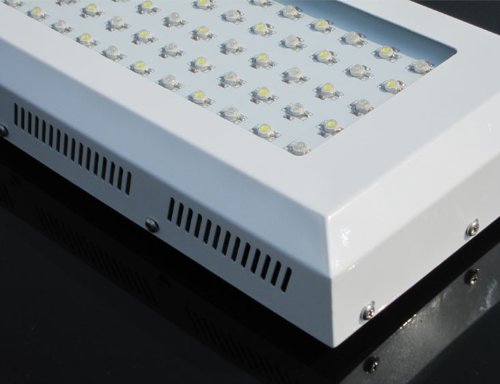 Maxtra Aquarium Led Grow Lights White Blue Coral Reef Tank 120w Maxtra Aquarium Led Grow Lights White Blue Coral Reef Tank 120w
