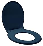 Tools & Hardware : American Standard 5322.011.209 Rise and Shine Round Toilet Seat and Cover, Rhapsody Blue