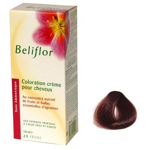  Teinture 29 Couleur fruit Prune