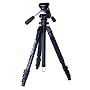 Vista Voyager W/FZ10 Head