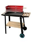 Review MySmartBuy  / Brand New Charcoal Tray BBQ!