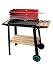 Brand New Charcoal Tray BBQ!