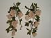 Peach Roses Vine Greenery (2 Pieces)