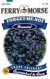 Ferry-Morse Perennial Flower Seeds 1050 Forget-Me-Not Blue Bird 250 Milligram Packet