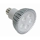 KolourOne LED PAR30 Lamp in Sliver Beam Angle: 25°, Color Temperature: 6500K