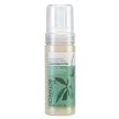 Boots Botanics Complexion Refining Deep Clean Mousse (5 oz.)