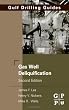 Gas Well Deliquification, Second Edition (Gulf Drilling Guides)