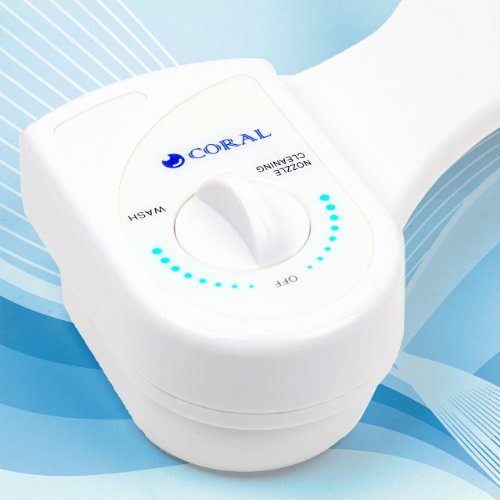 Barbarian Basketball Systems Adjustable In Ground Basketball Goal with Thick Clear Tempered Glass Backboard (60.5-Inch)