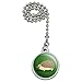 Hedgehog on Green Ceiling Fan and Light Pull Chain