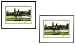 Texas Tech Red Raiders Framed Undergrad Lithograph