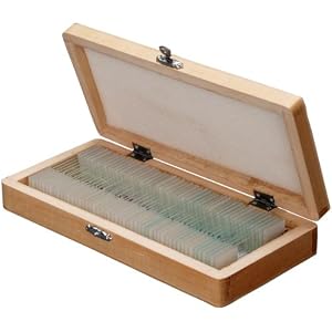 AmScope 50pc Home School Student Biology Science Glass Slide Microscope Prepared Slides in Wooden Box
