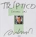 Triptico 1