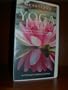 Videotape VHS Heartland Yoga Ammachi Center Gentle and Therapeutic Yoga Poses for All Ages (Ammachi  Yoga)
