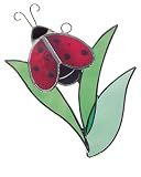 Ladybug In Garden