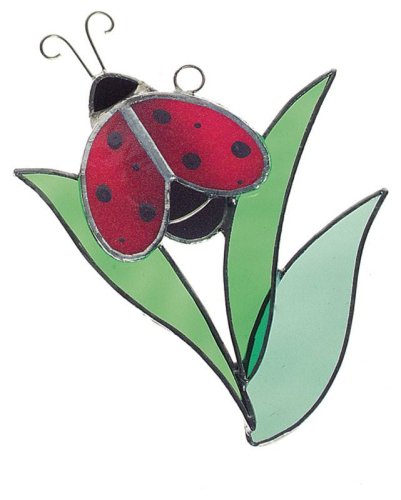 Ladybug In Garden
